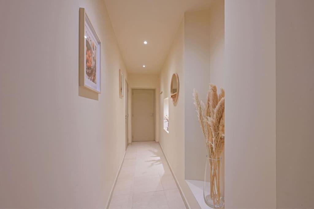 Apartment Toptip - Clim - Terrasse - Wi-fi -parking Gratuit En Souterrain Avignon